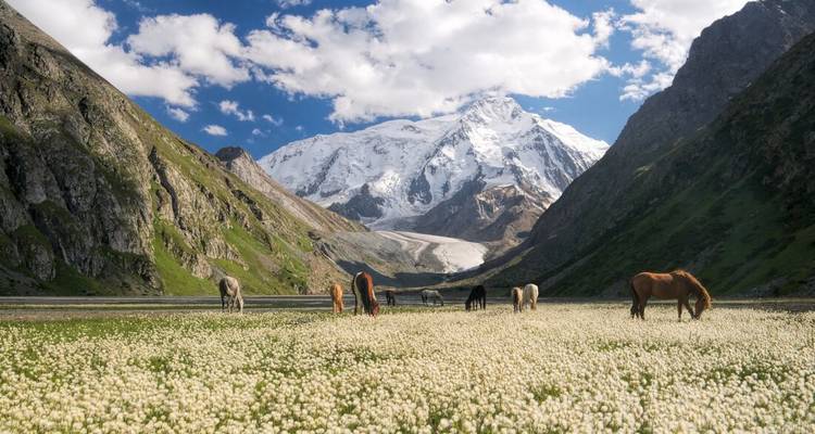 Premium Kazakhstan et Kirghizstan - Intrepid Premium 7