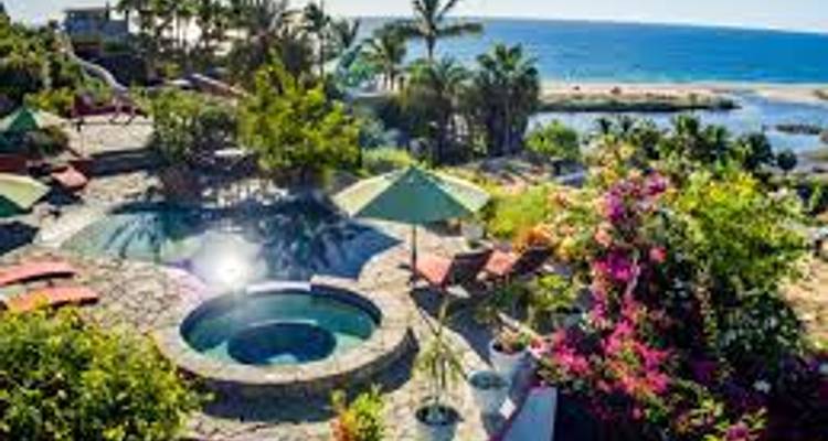 Baja - Marine Wildlife Adventure - Discover Corps 5