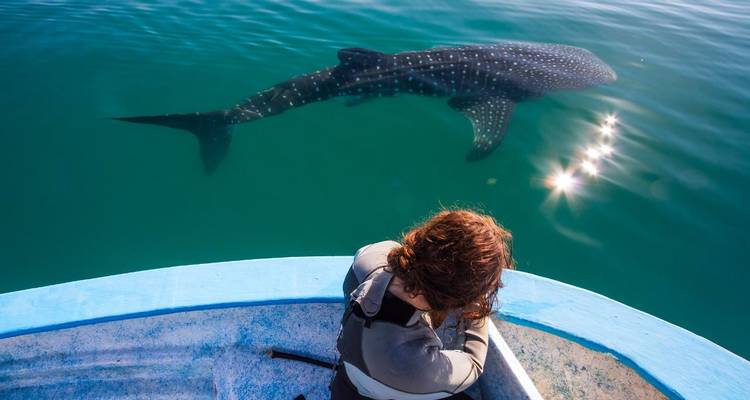 Baja - Marine Wildlife Adventure - Discover Corps 3