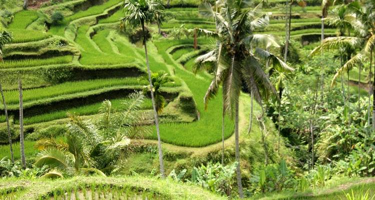 Bali - L'île de l'inspiration - Discover Corps 3