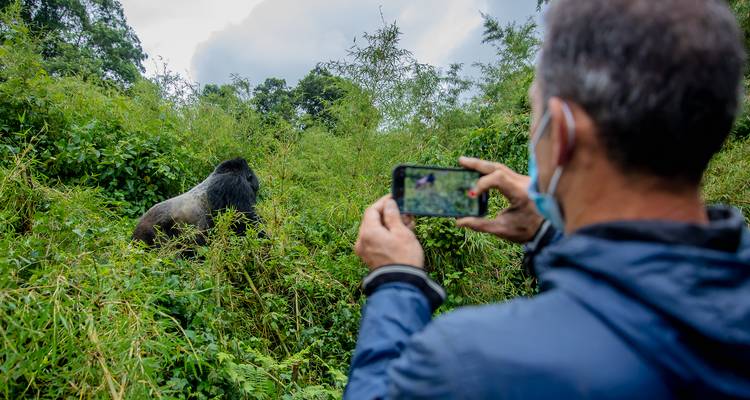 02 Días de Excursión a los Gorilas en Ruanda - GoExplore Safaris 1