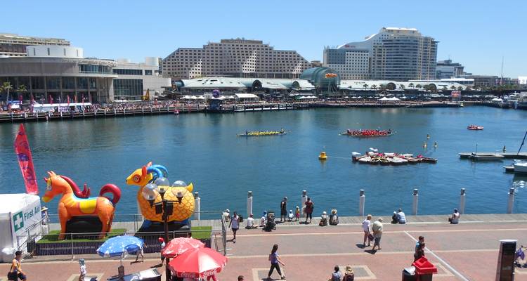 Highlights of Australia - Wingbuddy 9