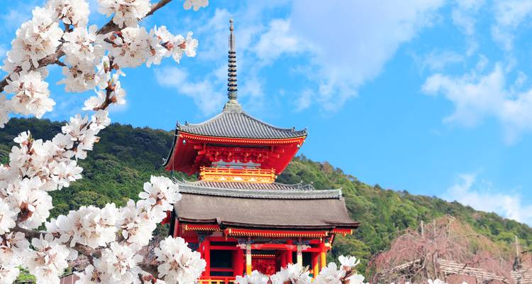 Japan goes Okinawa: Sushi, Shinto & Sunshine Vibes (5 destinations) - journaway 4