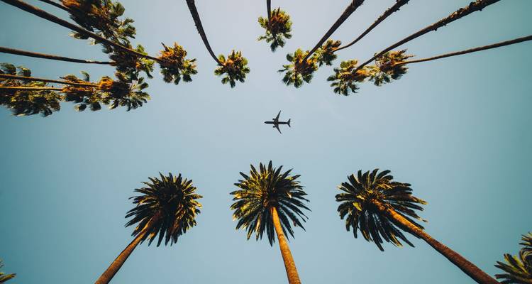 Los Angeles, Las Vegas et les parcs nationaux ROT - Europamundo 3