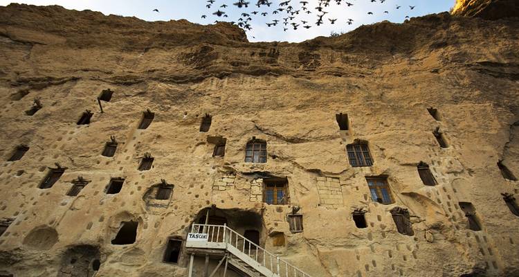 Rock-cut buildings with pigeons flying overhead.