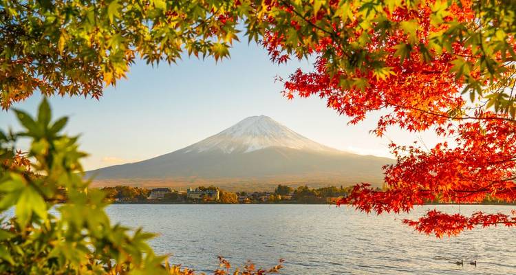 Lo último en Japón - Intrepid Travel 1