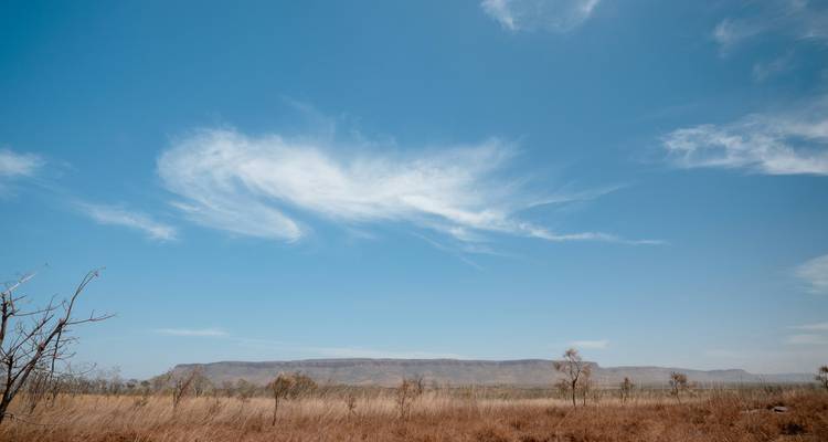 Explorador del territorio y Kimberley - Scenic Luxury Cruises & Tours 10