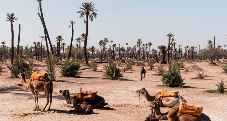 10 Days Luxury Morocco Tour: Casablanca to the Sahara Desert (20+ Destinations) - Voyagiste Maroc 9