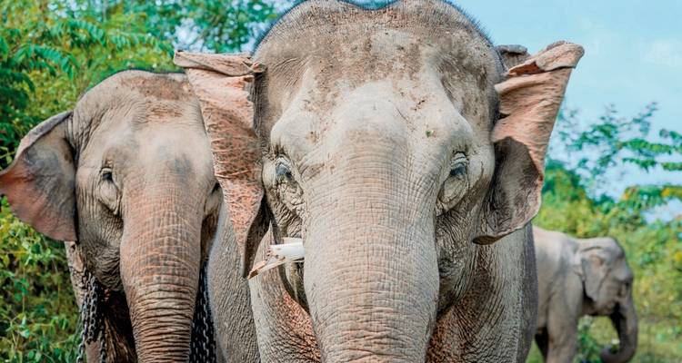 Laos - Nature et culture (voyage de groupe) - MEIERS WELTREISEN 6