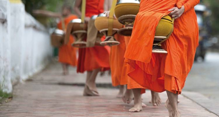 Monks in orange robes walking barefoot holding bowls.
