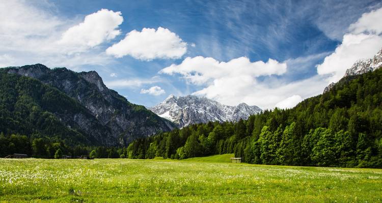 Un luxuriant pré alpin s'étend vers des pics enneigés sous des formations nuageuses spectaculaires.