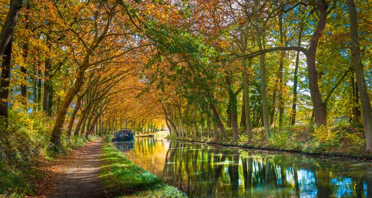 Baumbestandener Canal du Midi, der lebendige Herbstfarben widerspiegelt.