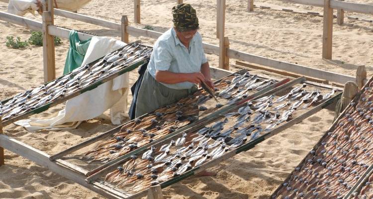 Local woman arranges sardines on wooden racks to dry under the sun on a sandy beach.