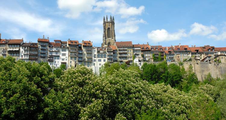 Vue de Fribourg avec des arbres verts et une cathédrale.