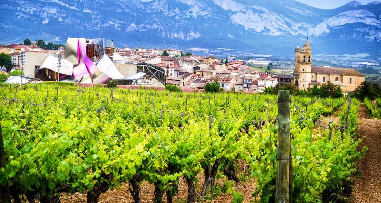 Un vignoble avec un bâtiment moderne en arrière-plan.