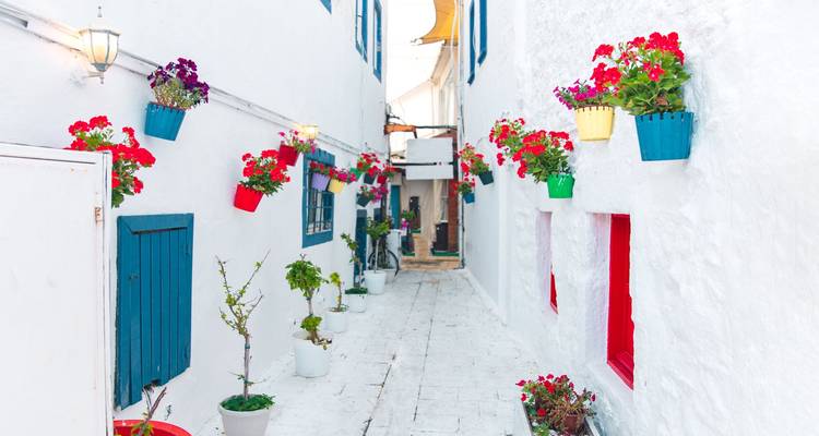 Narrow street with white walls and colorful flower pots.