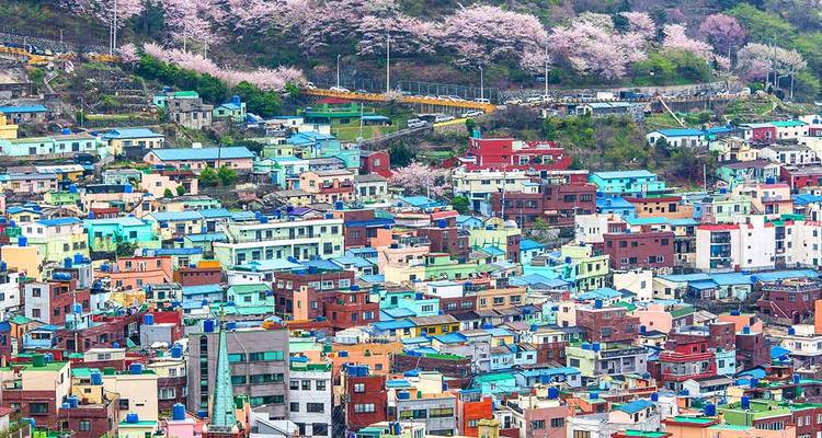 Lo más destacado de Corea del sur - Intrepid Travel 3