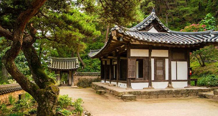 Lo más destacado de Corea del sur - Intrepid Travel 7