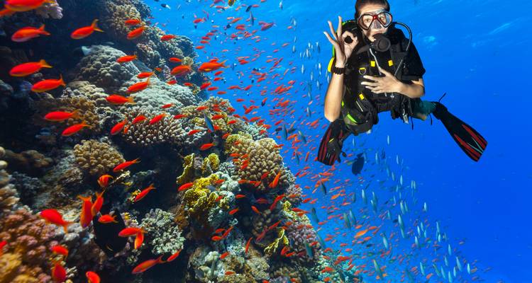 All-Inclusive Budget Trip to Cairo and Hurghada - Beyond The Nile Tours 4
