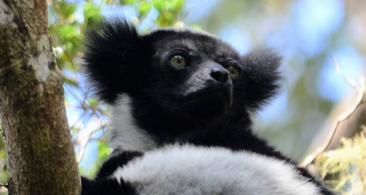 L'essentiel en malgache - Vivy Travel 2