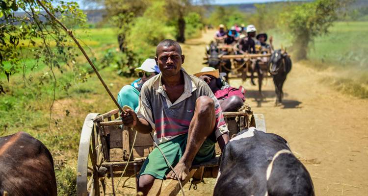 L'essentiel en malgache - Vivy Travel 4
