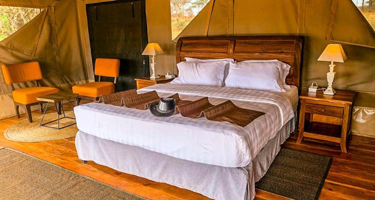 Safari de 5 días por Maasai Mara y Serengeti - Kenia y Tanzania - Lights on Africa Destinations & Safaris 6