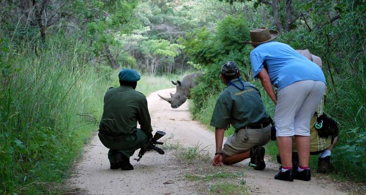 Des gens observant un rhinocéros à distance de sécurité sur un sentier de terre.