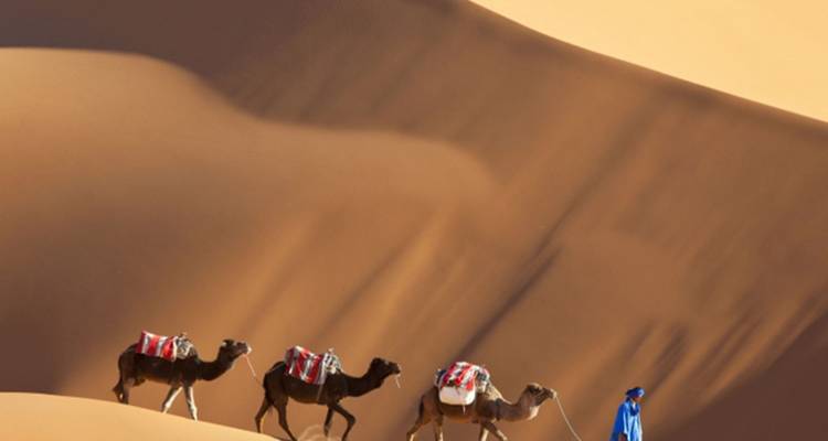 Rêve de désert : Un voyage marocain de 4 jours de Casablanca à M'Hamid - Morocco Premium Tours 4