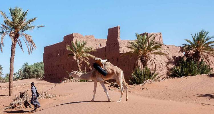 Rêve de désert : Un voyage marocain de 4 jours de Casablanca à M'Hamid - Morocco Premium Tours 7