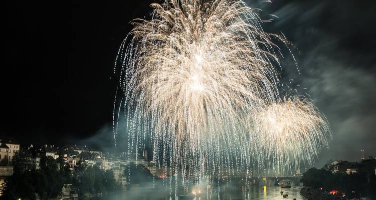 Espectaculares fuegos artificiales dorados caen en cascada sobre una ciudad europea junto al río por la noche.