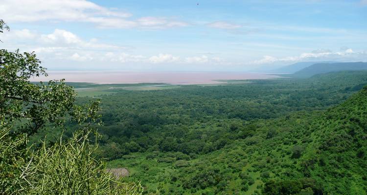 Blick auf eine üppig grüne Landschaft, die sich bis zu einem See oder Meer erstreckt.