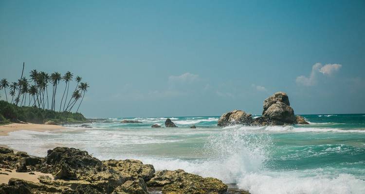Sri Lanka: senderismo, bicicleta y kayak (9 destinations) - Intrepid Travel 3
