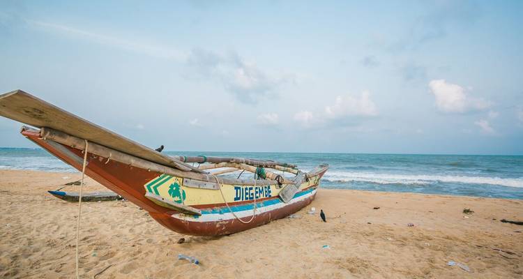 Sri Lanka: senderismo, bicicleta y kayak (9 destinations) - Intrepid Travel 6