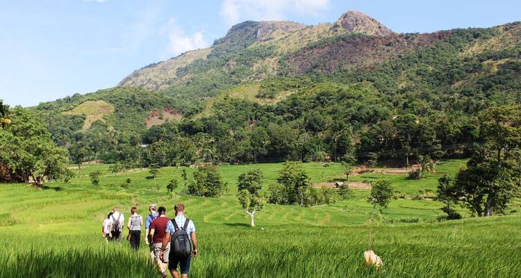 Sri Lanka: senderismo, bicicleta y kayak (9 destinations) - Intrepid Travel 7