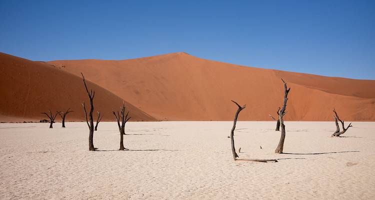Safari en avión de lujo de 7 días por lo mejor de Namibia - Lights on Africa Destinations & Safaris 2