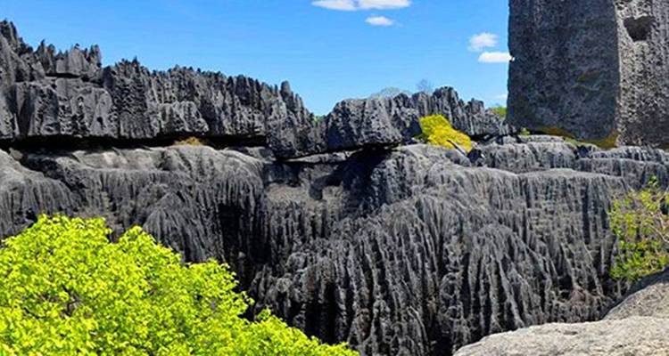 Excursion sur le fleuve Tsiribihina, Tsingy de Bemaraha, et l'Avenue des Baobabs - Bio D Island LLC 4