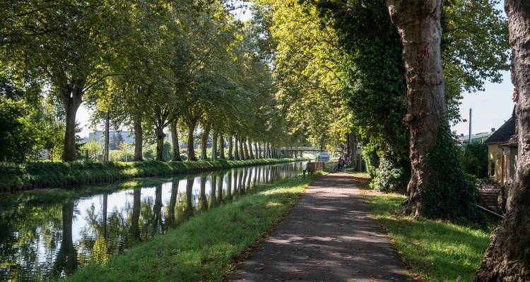 Alsacia | Francia | Visita guiada en e-bike - Terranova Touristik 6