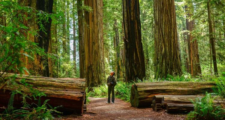 L'ouest des États-Unis est couvert - Intrepid Travel 7