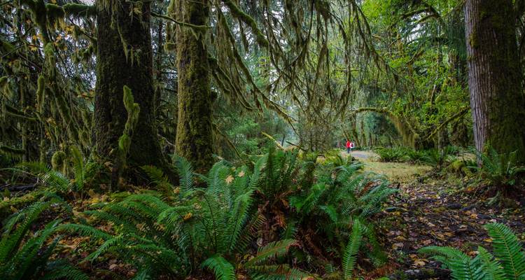 L'ouest des États-Unis est couvert - Intrepid Travel 9