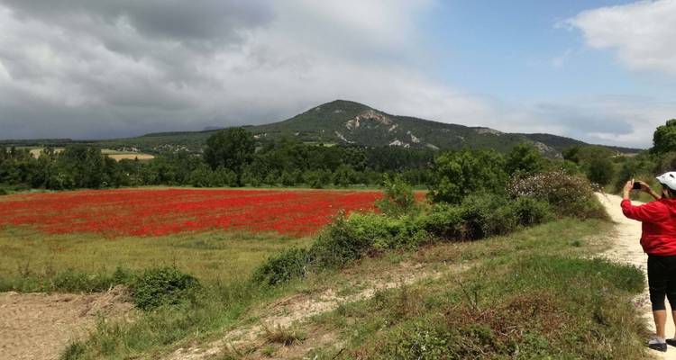 La Rioja & Basque Country guided cycling tour - Terranova Touristik 3