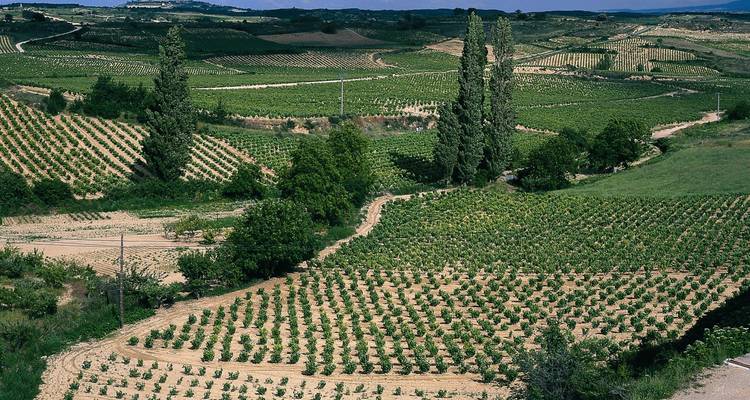 La Rioja & Basque Country guided cycling tour - Terranova Touristik 10