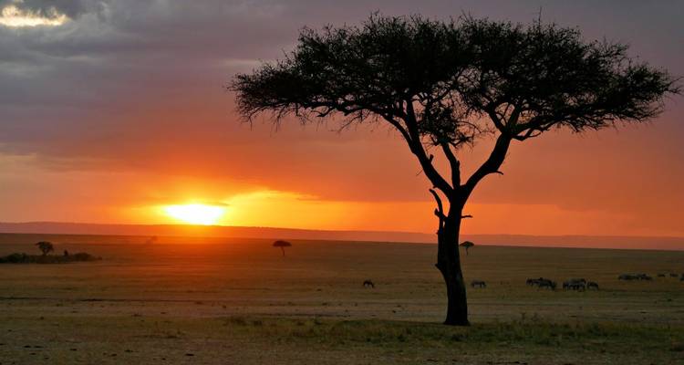Découvrir activement la savane et les hautes terres - DIAMIR Erlebnisreisen 5