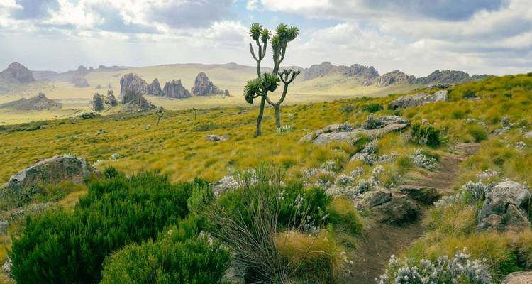 Découvrir activement la savane et les hautes terres - DIAMIR Erlebnisreisen 2