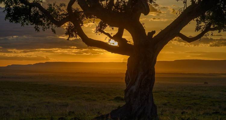 Découvrir activement la savane et les hautes terres - DIAMIR Erlebnisreisen 6