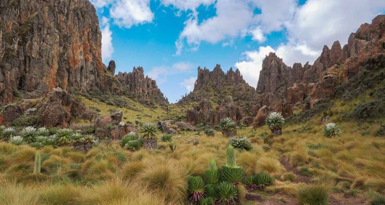 Découvrir activement la savane et les hautes terres - DIAMIR Erlebnisreisen 9