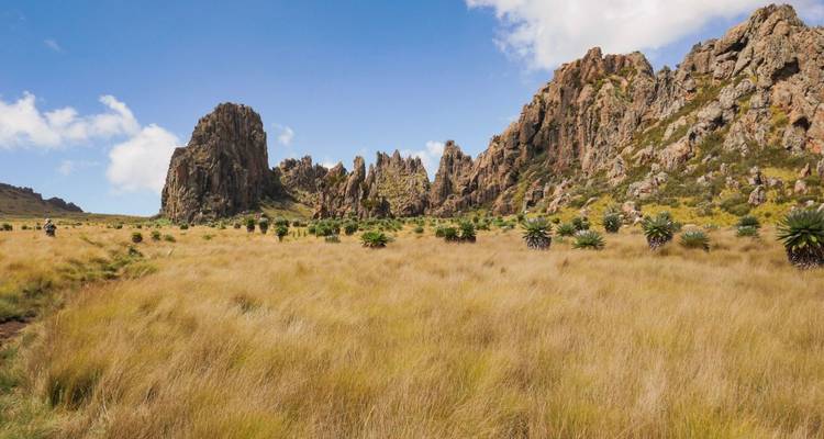 Découvrir activement la savane et les hautes terres - DIAMIR Erlebnisreisen 10
