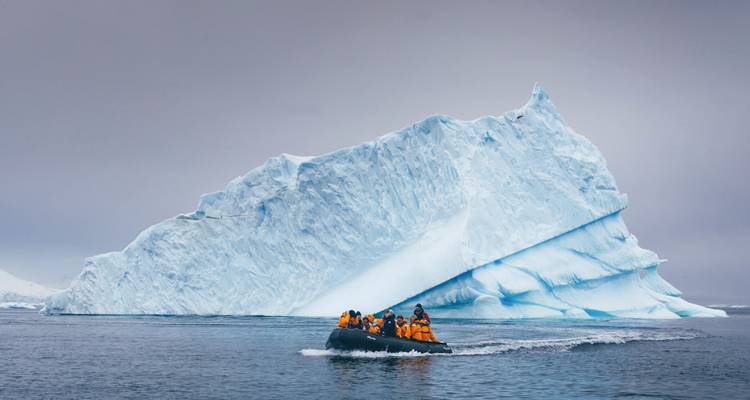 Malvinas, Georgia del Sur y Antártida: Exploradores y Reyes - Intrepid Travel 4
