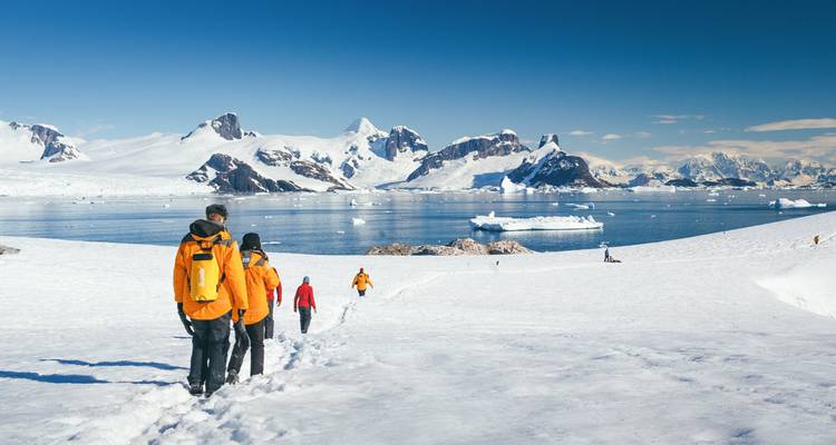 Malvinas, Georgia del Sur y Antártida: Exploradores y Reyes - Intrepid Travel 7