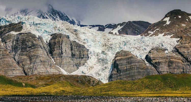 Géorgie du Sud et péninsule Antarctique : Safari aux pingouins - Intrepid Travel 5