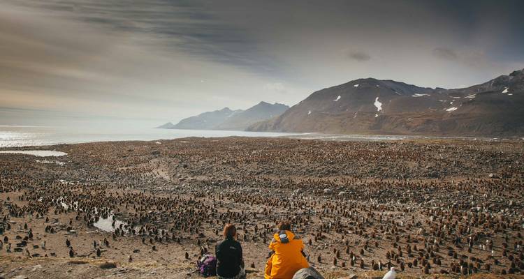 Géorgie du Sud et péninsule Antarctique : Safari aux pingouins - Intrepid Travel 2
